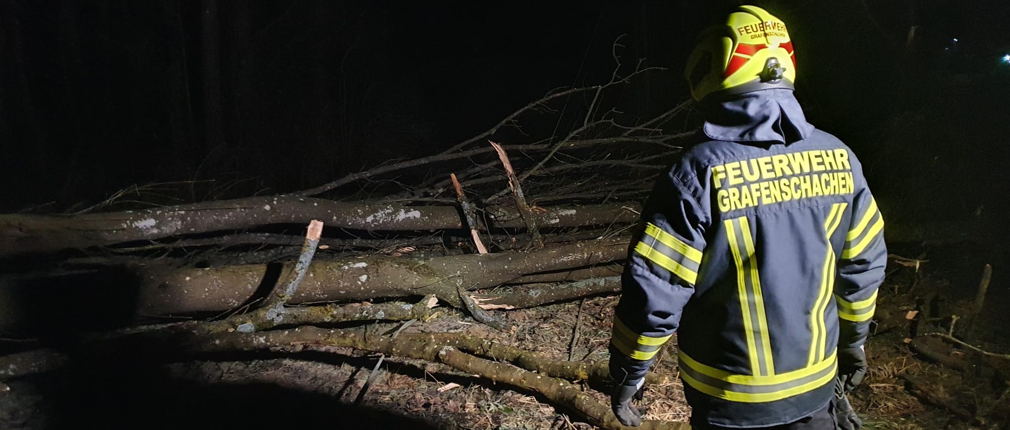 T1 Bäume fällen 20kVA Leitung