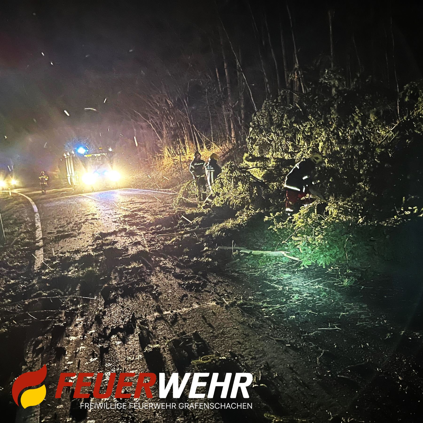 T1 – Baum blockiert Straße